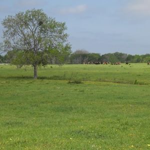 Meet your Posher, Jan